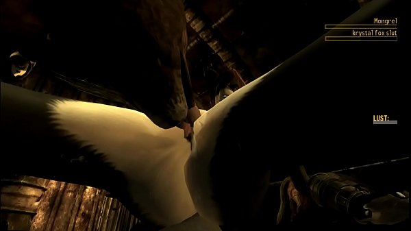 crazy fox bitch fights and fucks her way to the kennle