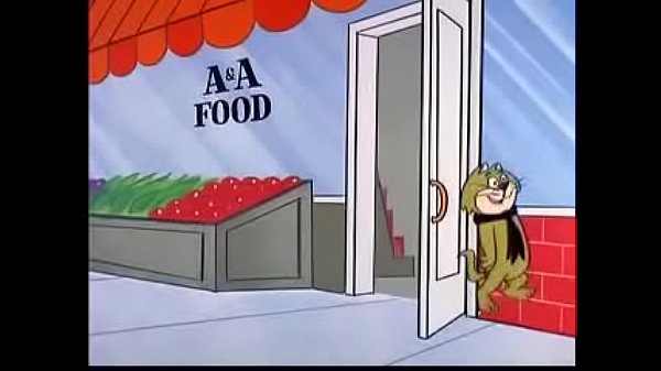 don gato y sus gatitas