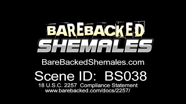 Brunette Shemale Gets Banged Hard From Behind