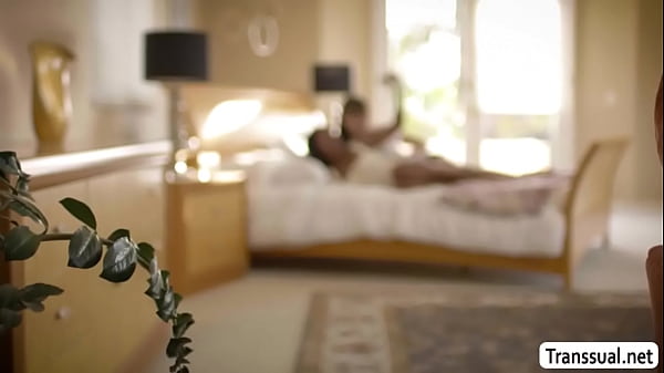 Mature Ebony blow and ride TS hard shecock