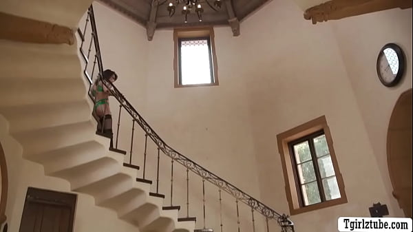 Damn! so hot TS Ariel Demure gets bareback fucked