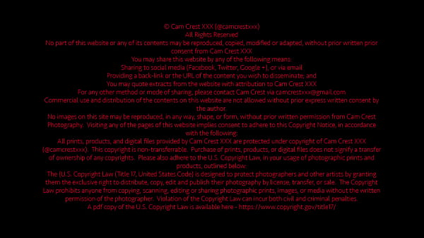 Photographer Pleasures a Ladyboy Cock