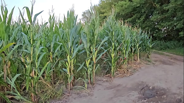 Teen trans sucking dick on country road