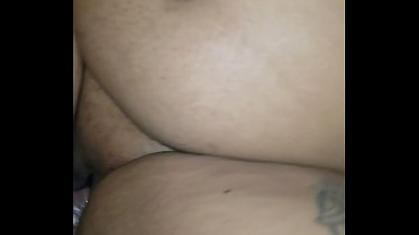 Bbw fat