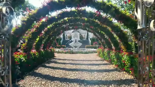 Shemale and bisexual guys porn music video (WAP TS bisex pmv)