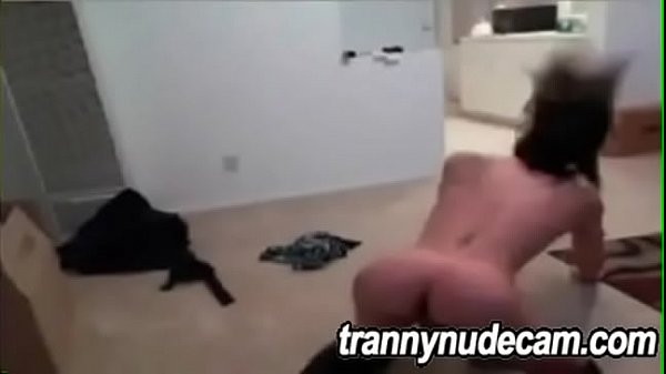 Sexy Shemale Compilation 6 – Part 7 on JoinMyWorld.info